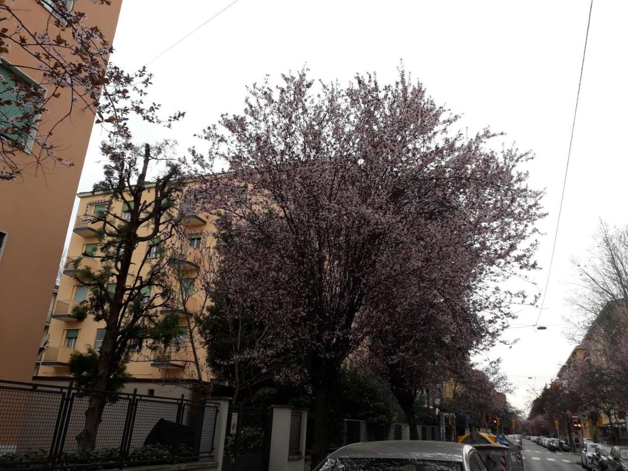 Sant'Orsola Bologna Appartamento מראה חיצוני תמונה